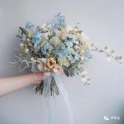 云体育app入口