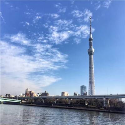众发登录